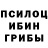 Галлюциногенные грибы GOLDEN TEACHER Knyaz Bakoyan