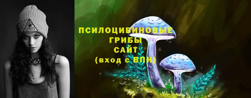 blacksprut рабочий сайт  Видное  Псилоцибиновые грибы Magic Shrooms  наркотики 