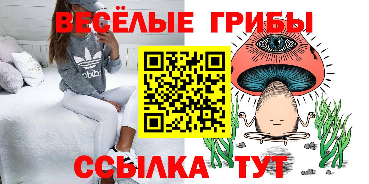 Галлюциногенные грибы прущие грибы Видное