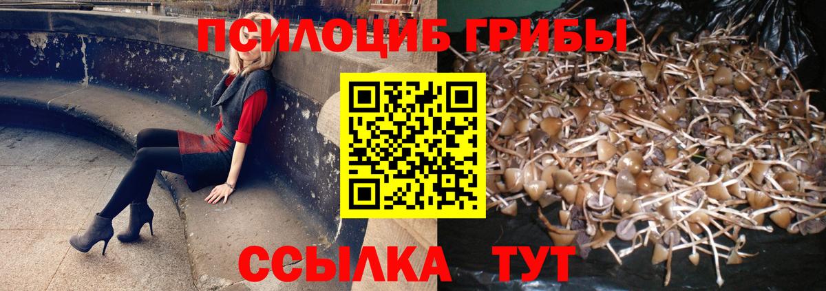 Галлюциногенные грибы мицелий Видное