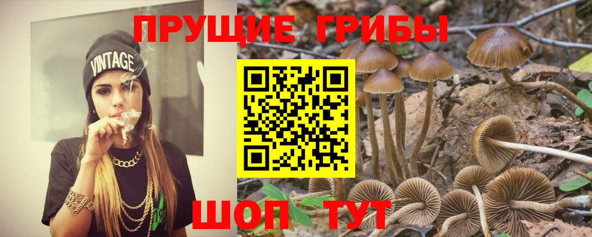 Видное  Псилоцибиновые грибы Magic Shrooms  дарнет шоп  Вход с VPN 